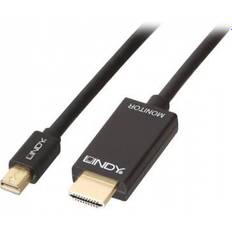 Lindy Passive HDMI-DisplayPort Mini 2m