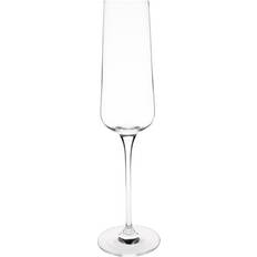 Olympia Claro Champagne Glass 26cl 6pcs