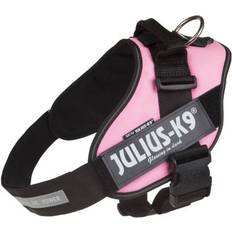 Julius-K9 Dog Collars & Leashes - Dogs Pets Julius-K9 IDC Powerharness Baby 1