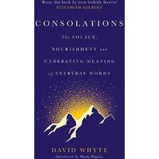 Consolations (Hardcover, 2019)