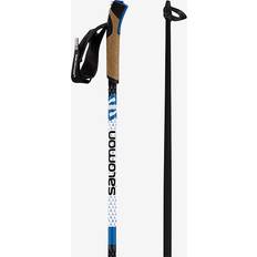 Black Downhill Ski Poles Salomon R 60 Click