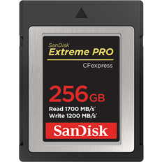 Cfexpress SanDisk Extreme Pro CFexpress Type B 256GB