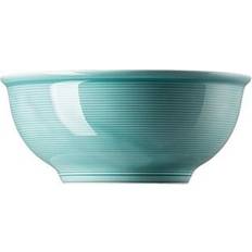 Rosenthal Thomas Trend Colour Bowl 22cm