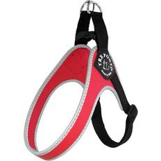 Pets Tre Ponti Seler Adjustable Belly 3.5