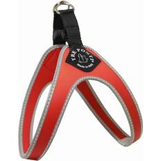 Pets Tre Ponti Seler Liberty Buckle 3