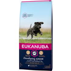 Eukanuba Developing Junior Large Breed with Chicken 15kg