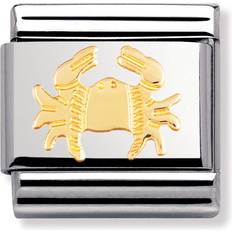 Nomination Composable Classic Link Cancer Charm - Silver/Gold