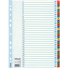 Esselte Register Mylar 1-31 A4