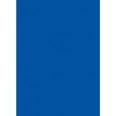 Colorama Colormatt Background 1x1.3m Royal Blue
