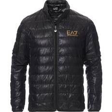 EA7 Outerwear EA7 Train Core Light - Black/Gold