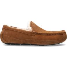 44 Loafers UGG Ascot - Chestnut