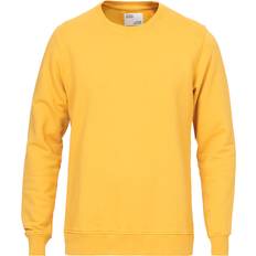 Colorful Standard Classic Organic Crew Neck Sweatshirt - Burned Yellow