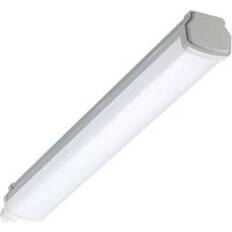 Philips WT060C Ceiling Flush Light 61.1cm