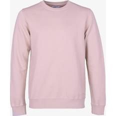 Colorful Standard Classic Organic Crew Sweatshirt - Faded Pink