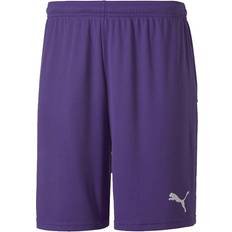 Puma teamGOAL 23 Knit Shorts Men - Prism Violet