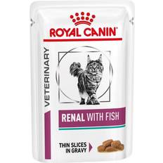 Royal Canin Renal with Fish