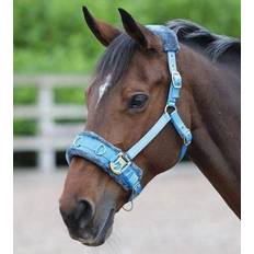 Halters & Lead Ropes Shires Fleece Lined Lunge Cavesson
