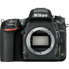 Nikon Secure Digital HC (SDHC) DSLR Cameras Nikon D750