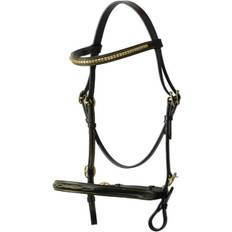 Hy Equestrian In-Hand Bridle