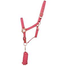 Hy Equestrian Rose Gold Head Collar & Lead Rope