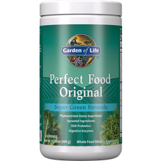 Calcium Supplements Garden of Life Perfect Food Super Green Formula 300g
