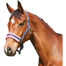 Saxon Element Fleece Headcollar