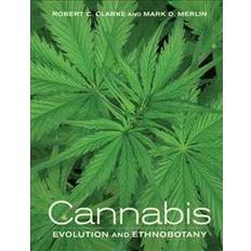 Cannabis (Paperback)