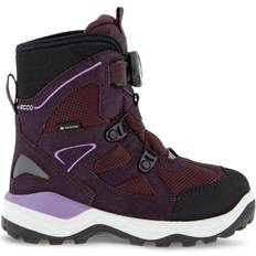 ecco Snow Mountain Boa - Black/Fig/Fig