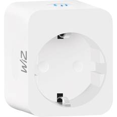 Google Assistant Electrical Outlets WiZ WIZSMPLUGPMPF