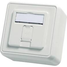 Telegärtner Telegaertner Network outlet Surface-mount Unequipped 1 port Alpine white