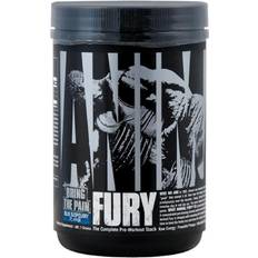 Universal Nutrition Animal Fury Watermelon 492g