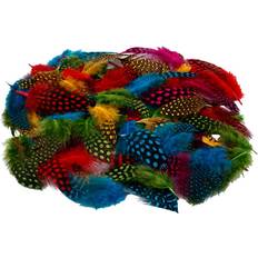 Creativ Company Guinea fowl feathers, assorted colours, 50 g/ 1 pack