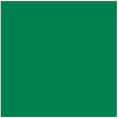 Vallejo Model Color 17ml Park Green Flat VAL969