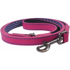 Joules Dogline