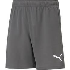 Puma teamRISE Short Men - Gray/White