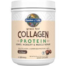 Garden of Life Collagen Protein Chocolate 588g