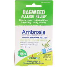 Boiron Ambrosia Artemisiaefolia Ragweed Allergy Relief 80 Pellets