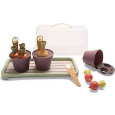 Dantoy Bioplastic Greenhouse Kit