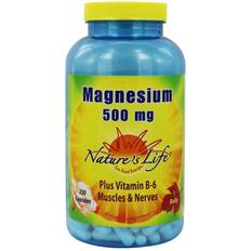 Nature's Life Magnesium 500 mg. 250 Capsules 250 pcs