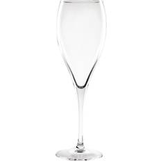 Olympia Champagne Glasses Olympia Cocktail Champagne Glass 17cl 12pcs
