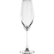 Olympia Glasses Olympia Cordoba Champagne Glass 21cl 6pcs