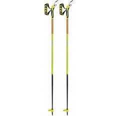 Black Downhill Ski Poles Leki Mezza Train