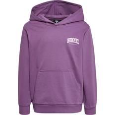 Hummel Fast Hoodie - Argyle Purple (215861-4083)