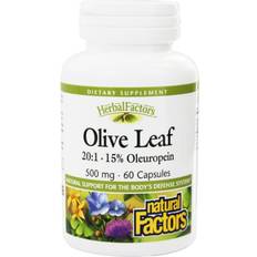 Natural Factors Olive Leaf Extract 500 mg 60 Capsules