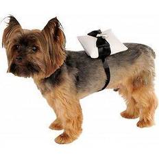 Rubies Ring Bearer Pillow Dog & Cat Costume