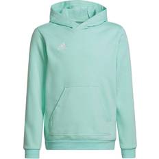 Adidas Entrada 22 Sweat Hoodie Kids - Clear Mint