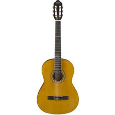 Brown Acoustic Guitars Valencia VC204H