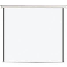 Bi-Office Wall Projector Screen (1:1 251" Manual)