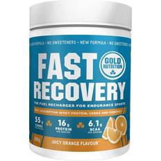 Gold Nutrition Fast Recovery Orange 600g