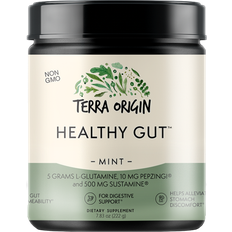 Terra Origin Healthy Gut Mint 222g